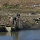 Крађа рибе један од највећих проблема за произвођаче