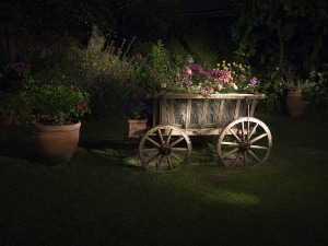  1001 Траг - Оп, села на каруце сека - Бачки медаљони 