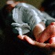 Беба пронађена у колицима на улици у Крагујевцу, смештена у хранитељску породицу