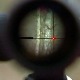 Ко је све одговоран за рањавање дечака у лову