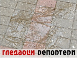 Гледаоци репортери (13. јануар 2023)