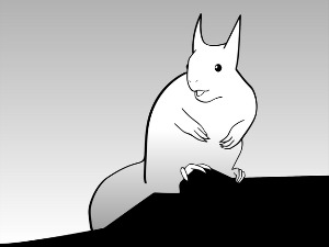 	Радио драма: Бела веверица, 5. део