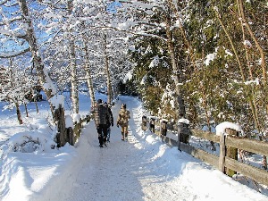 Шетајте парком или поред воде и тако смањите потребу за лековима