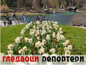Гледаоци репортери (18. јануар 2023)
