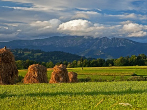  1001 Траг - Косио сам сено - Милан Бабић 