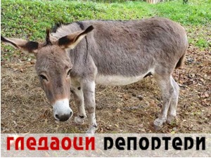 Гледаоци репортери (20. јануар 2023)