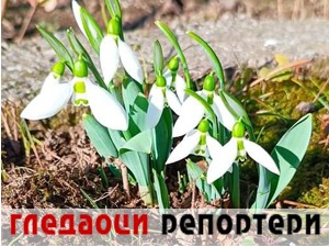 Гледаоци репортери (23. јануар 2023)
