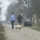 Траг у простору-Пут перјем посут