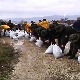Благојевић: Природа нас упозорава колико је важно радити пројекте у континуитету