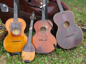 Тамбурица златна жица 