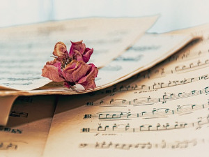 Променада - Хит парада 1984.