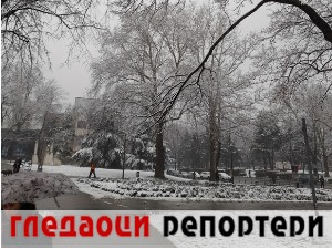 Гледаоци репортери (31. јануар 2023)