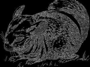  Добро јутро децо: Супер миш 