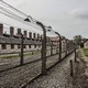 Д. Стојановић, Д. Игрутиновић: Постхолокаустовска читања у јеврејској хришћанској мисли