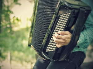 	Свирај свирче - дугметара хармоника 