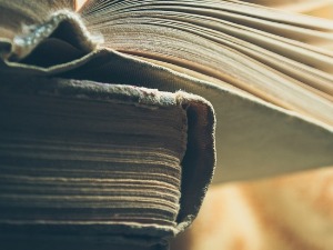  Једна студија  o Растку Петровићу и једна лирска новела 