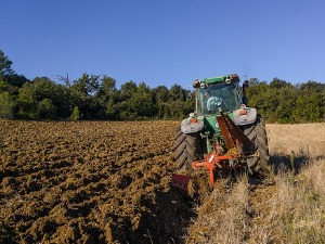 Влада: Више од 23 милијарде динара за подстицаје у пољопривреди и руралном развоју