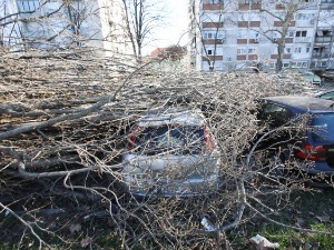 Невреме у региону – у Хрватској се утопио мушкарац и повређено дете, ветар чупао дрвеће у Црној Гори