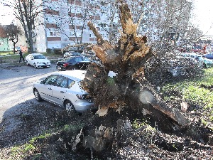 Невреме на подручју Осјечко-барањске жупаније, оштећено 11 школа