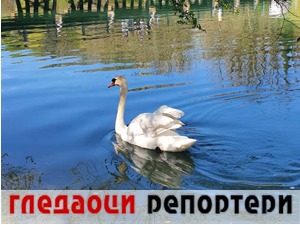 Гледаоци репортери (7. фебруар 2023)