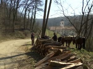 Извлачење дрва уз помоћ коња, на које се начине транспортују до купаца