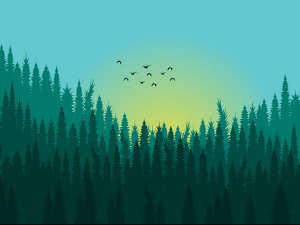 Фолдер Србија: Сусретање на Сретење 