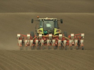 Озбиљна производња не може без банке, шта пољопривредници могу да очекују