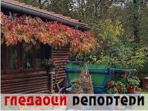 Гледаоци репортери (12. фебруар 2023)