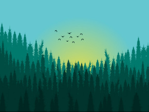 	Фолдер Србија: Празноверје 