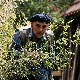 Пси лају ветар носи, 5-11 прва сезона