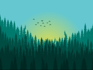 	Фолдер Србија: Бабине