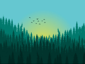  Фолдер Србија: Река која тече узбрдо 