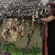 Археокухиња-Неолитски ручак