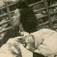 Живот у окупираном Београду 1941-1944: Година последња, 7-7