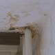 Вода цури из комшијиног стана - коме се жалити