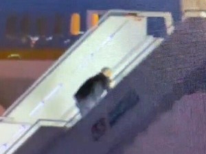 Бајден се спотакао кад је улазио у авион