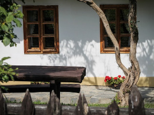  1001 Траг - Саградићу шајку - Предраг Гојковић Цуне 