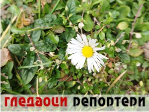 Гледаоци репортери (26. фебруар 2023.)