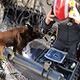 "Немамо право да не покушамо" – ватрогасци-спасиоци, између стреса и земљотреса