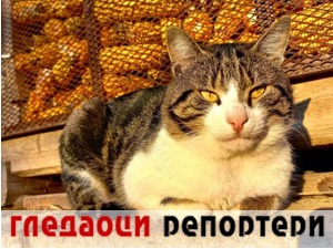 Гледаоци репортери (3. март 2023.)