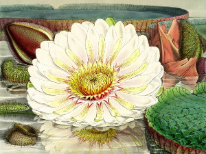  Добро јутро децо: Бескрајна баруштина 