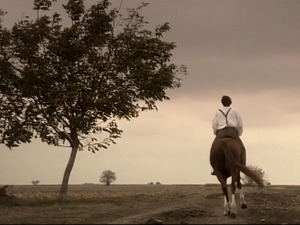  1001 Траг – Свирајте ноћас само за њу – Тома Здравковић 